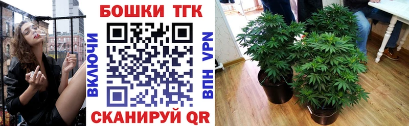 площадка формула  Наро-Фоминск  Шишки марихуана тримм 